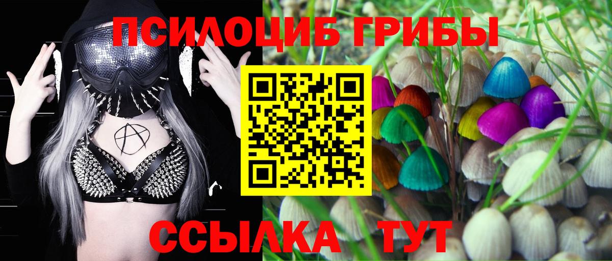 Псилоцибиновые грибы MAGIC MUSHROOMS  Псилоцибиновые грибы Psilocybine cubensis  Мариинск  Вход с VPN 