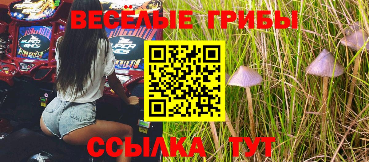 Псилоцибиновые грибы Psilocybine cubensis Мариинск
